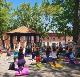 ACTIVITÉS DANS LE PARC