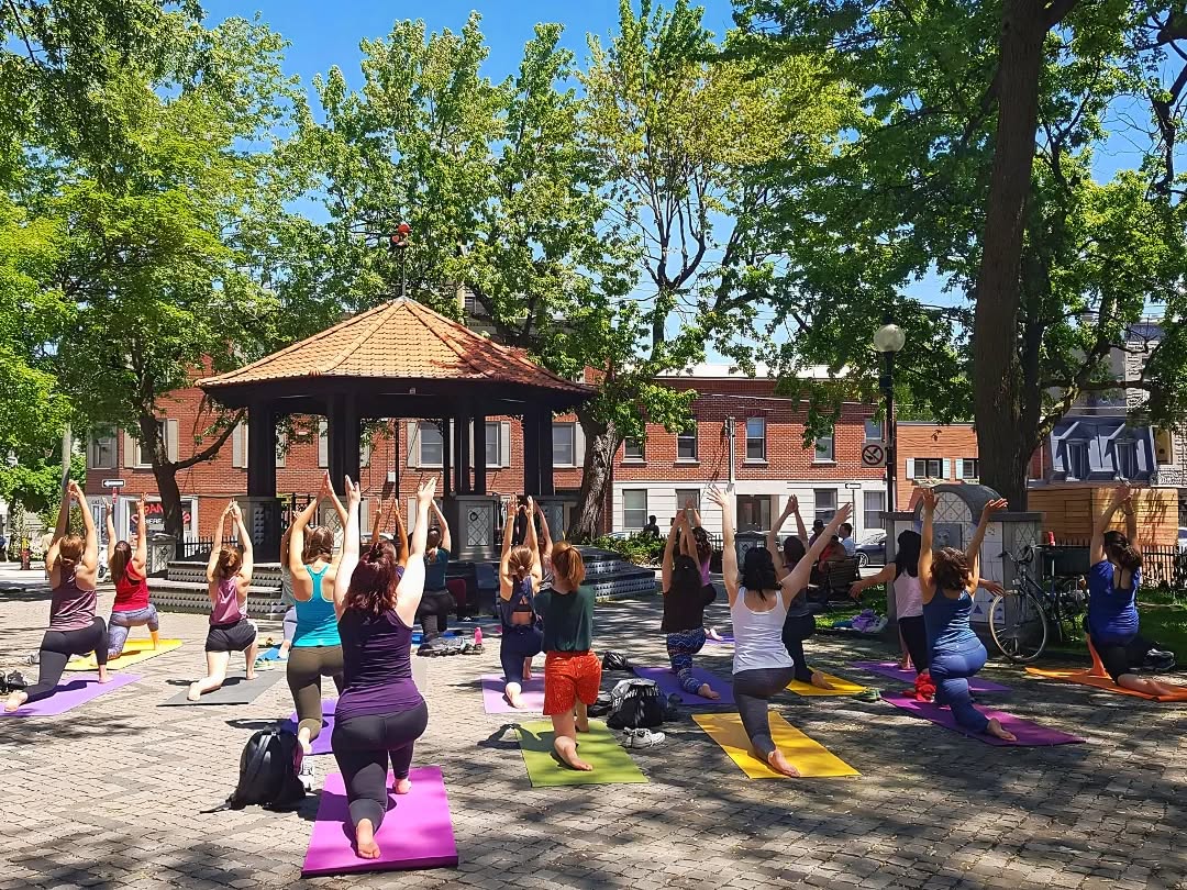 ACTIVITÉS DANS LE PARC